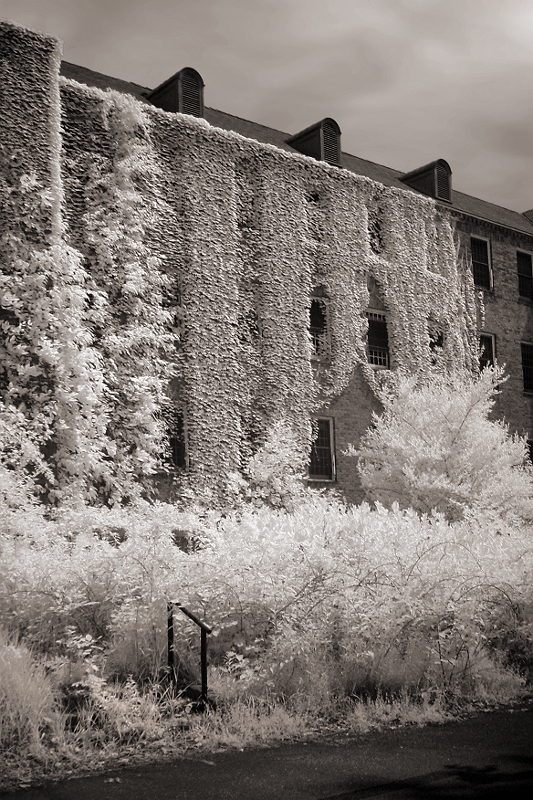 Abandoned Mental Hospital 5 Ivy-cover building at Harlem Valley Psychiatric Hospital, Wingdale, NY � Dave Hickey